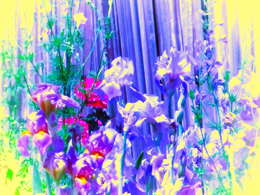 Abstract Colors With Hints Of Original Flowers Of Spring Photograph
