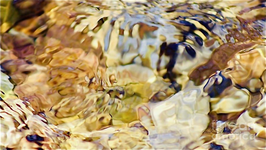Abstract creek 23 Photograph by Fred Sheridan