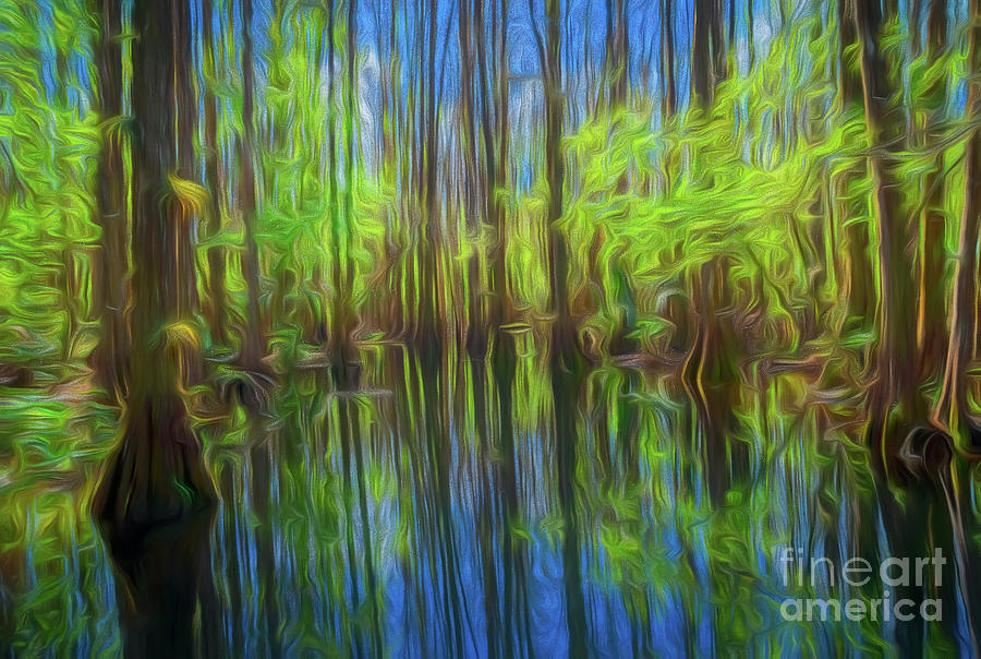Abstract Cypress Swamp Reflections, Florida, Painterly Photograph by Liesl Walsh