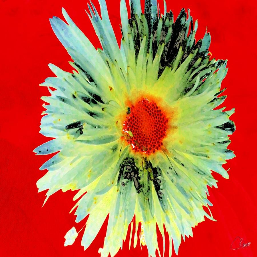 Abstract Daisy Flower on Orange Abstract Background Mixed Media by ...