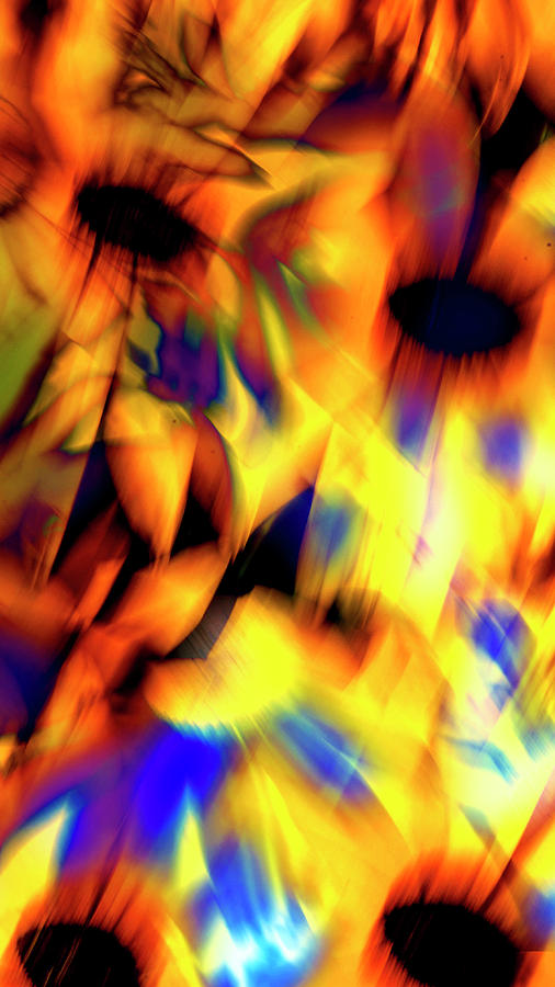 Abstract Daisy Vertical Digital Art by Kathy Paynter