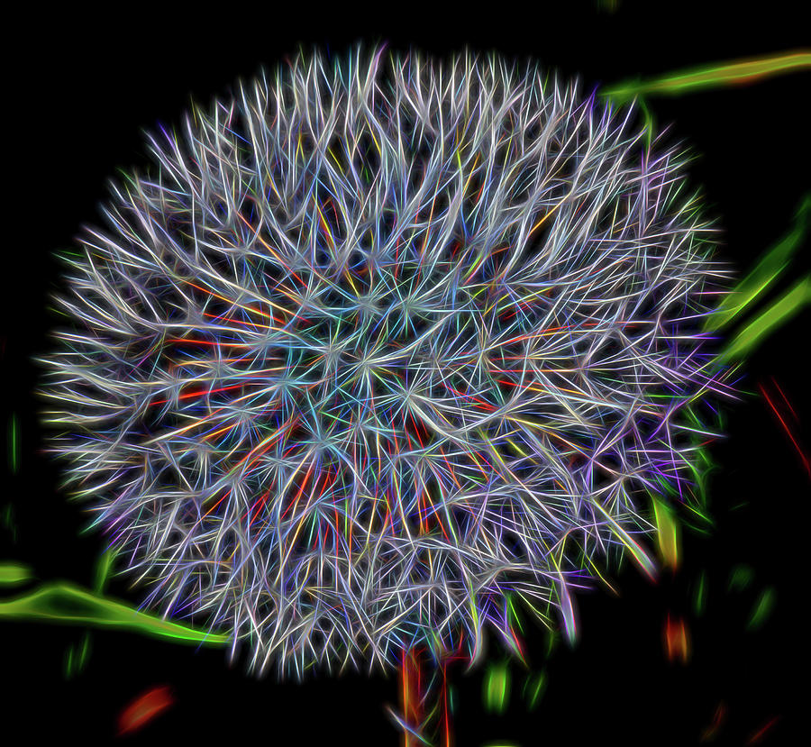 Abstract Dandelion Head Digital Art by Roy Pedersen