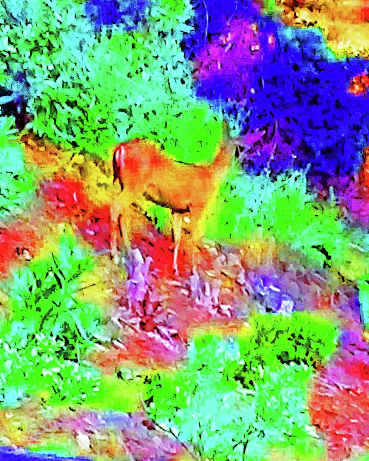 Abstract Deer Photograph by Andrew Lawrence