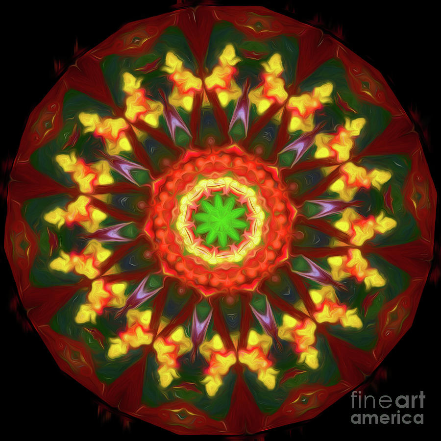 Abstract Earth Mandala Digital Art by Yvonne Johnstone