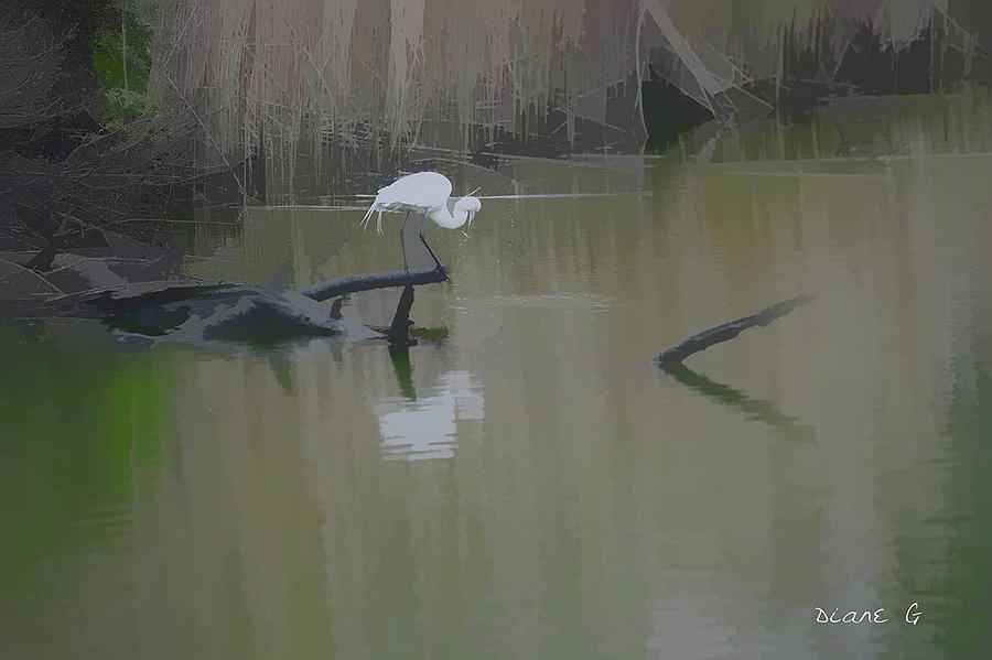 Abstract Egret  Photograph by Diane Giurco