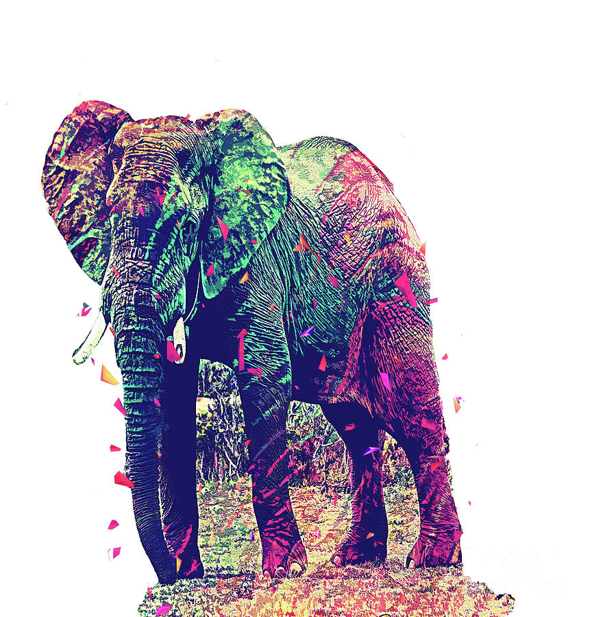 Abstract Elephant Digital Art by Trindira A