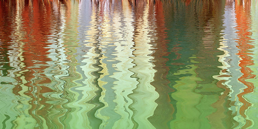 Abstract Eucalyptus Tree Reflections Panoramic Photograph by Gill Billington