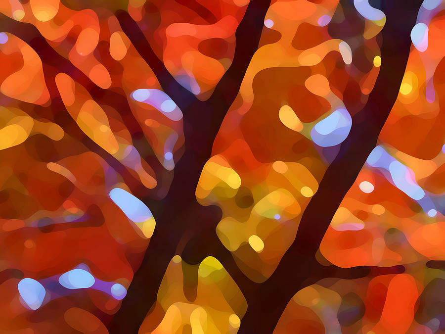 Abstract Painting - Abstract Fall Tree Light by Amy Vangsgard