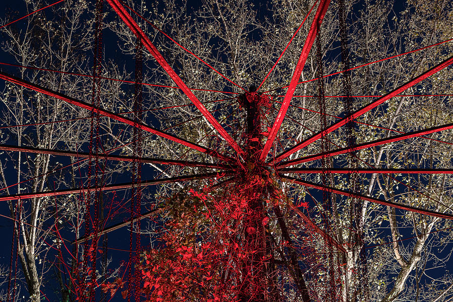 Abstract Ferris Wheel ride at abandoned funfair  Photograph by Steven Heap
