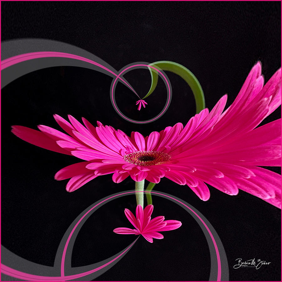 Abstract Floral Colorplay Photograph by Barbara Zahno