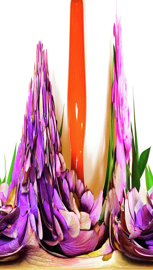 Abstract Flowers 2 Digital Art by Kathleen Illes