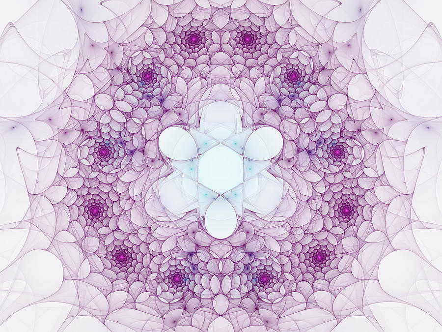 Abstract Fractal Mandala pink and blue Digital Art by Matthias Hauser