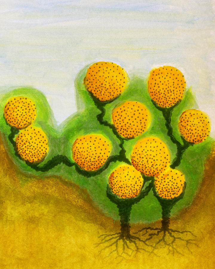 Abstract Freckled Citrus In the Summer Mixed Media by Mark Beckwith