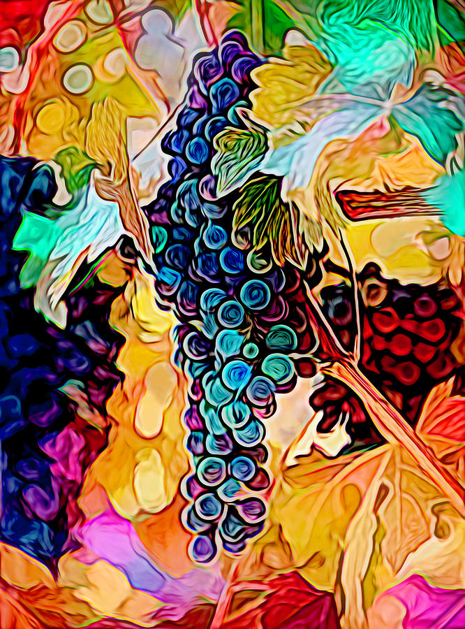 Abstract Fruit Of The Vine Photograph by Her Arts Desire