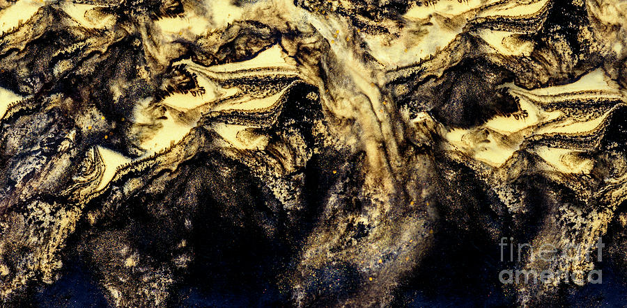 Abstract golden and black paint Painting by Jelena Jovanovic