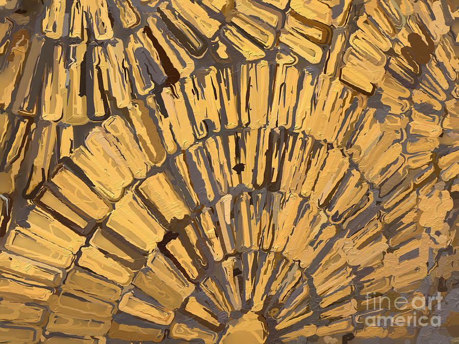 Abstract Golden Sunburst Photograph by Carol Riddle