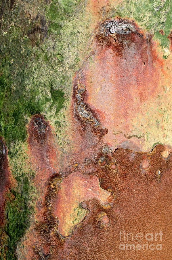 Abstract In Rust Photograph by Wendy Wilton