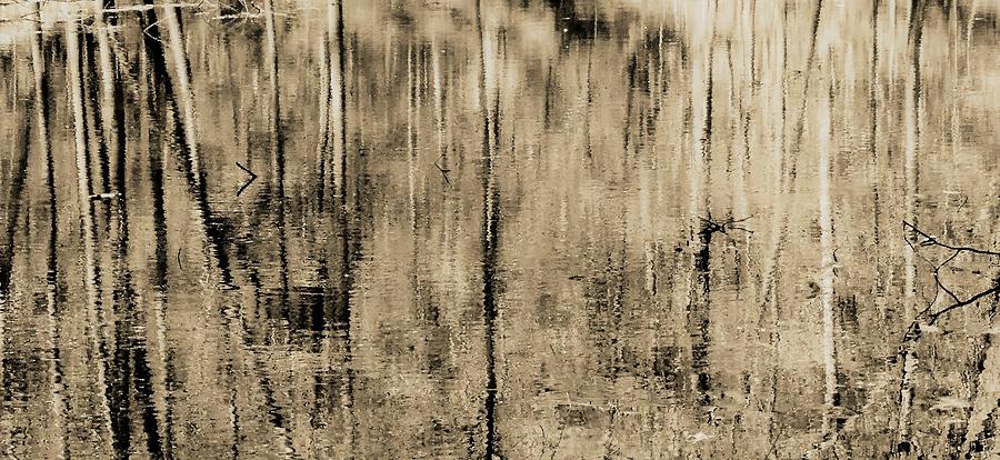 Abstract In Sepia Photograph