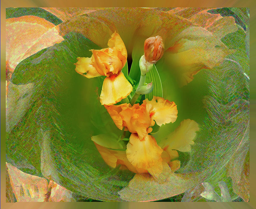 Abstract Iris in a Bowl Photograph by Faith Burns