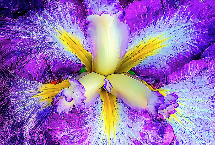 Abstract Iris Kaleidescope  Photograph by Skip Tribby