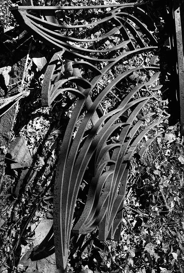 Abstract Ironwork Photograph by Jeff Townsend