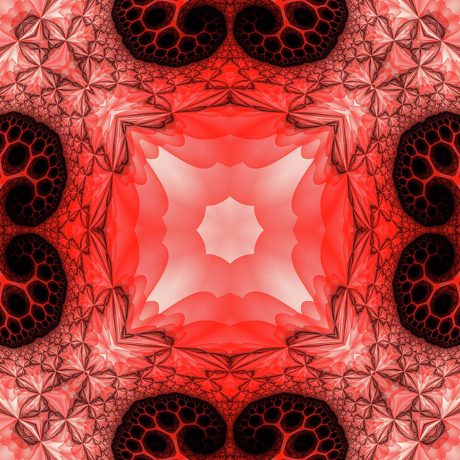Abstract Kaleidoscope Art Red Black White Digital Art by Matthias Hauser