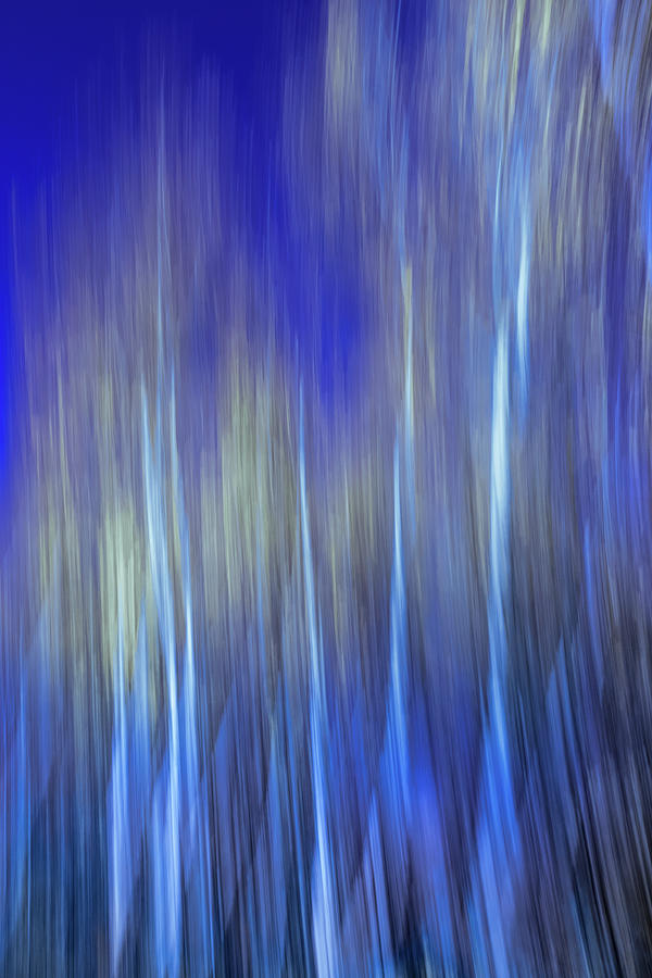 Abstract landscape with trees by Cristina Stefan Abstract landscape with trees by Cristina Stefan