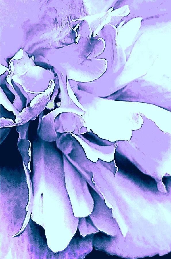 Abstract Lavender Glow Digital Art by Loraine Yaffe