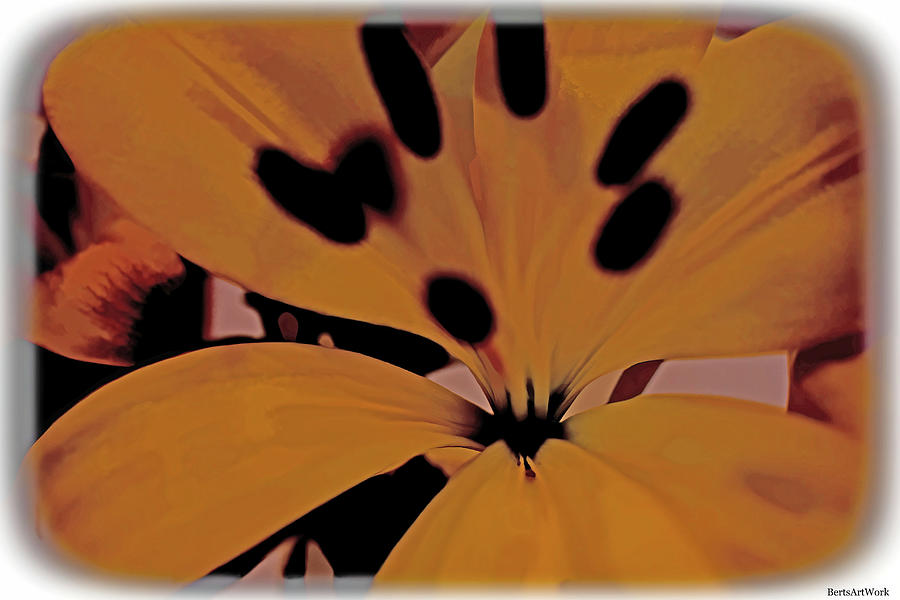 Abstract Lily Photograph by Roberta Byram