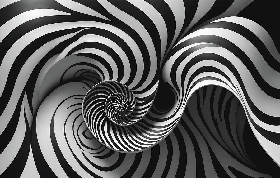 Abstract - Lines - Zebra Zephyr Photograph by Mike Savad