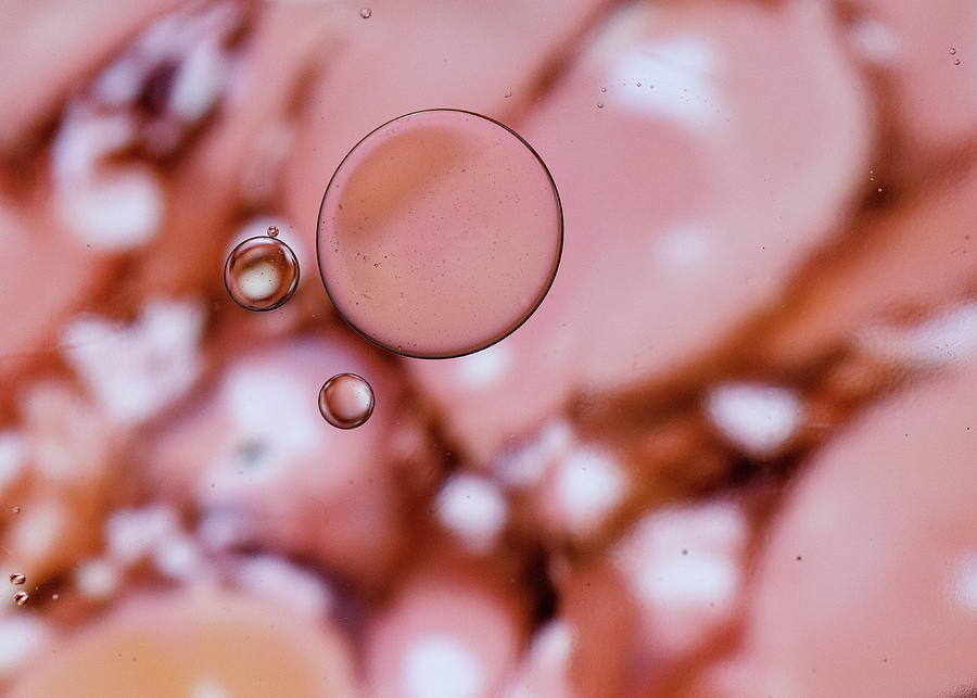 Abstract  Macro Bubbles in Pink 2 Photograph by Amelia Pearn