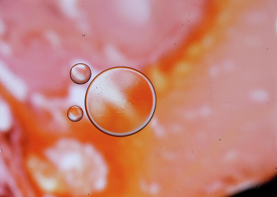 Abstract  Macro Bubbles in Pink Photograph by Amelia Pearn