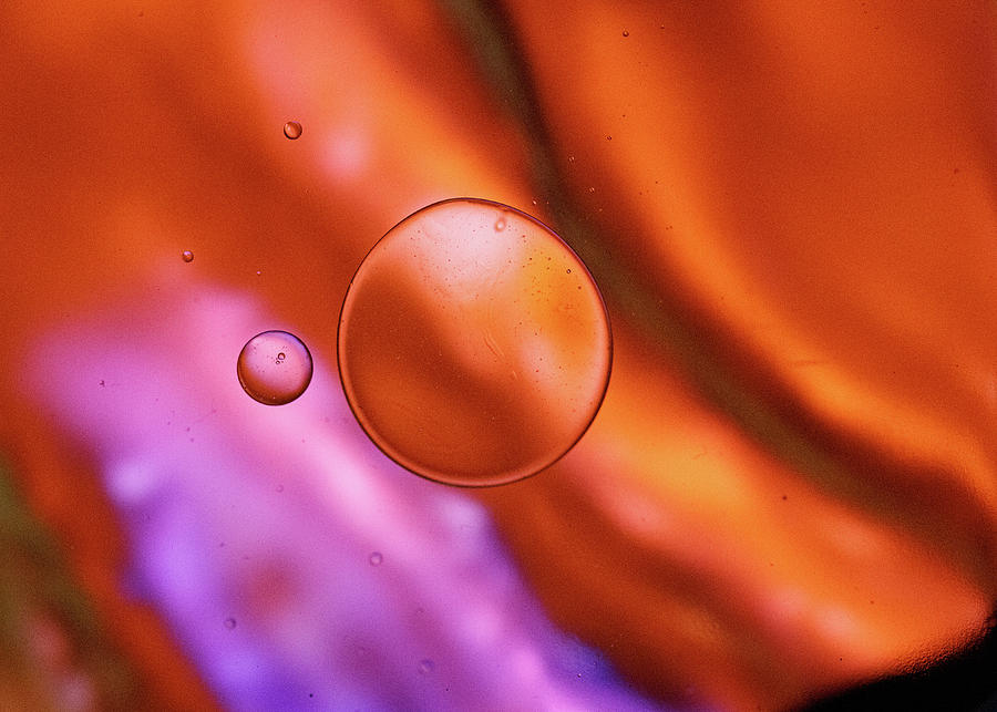 Abstract  Macro Bubbles in Red Photograph by Amelia Pearn