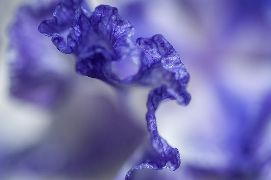 Abstract Macro of Iris Ink Patterns Photograph by Jenny Rainbow