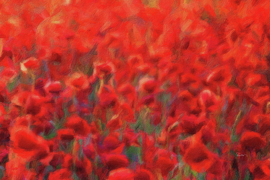 Abstract Maroon Red Poppies Digital Art by Russ Harris