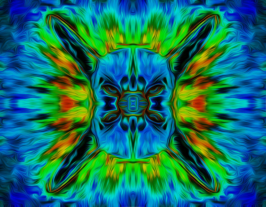Abstract Mask Digital Art by Ronald Mills
