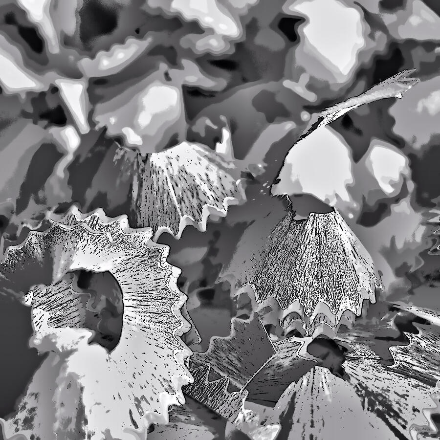 Abstract Monochrome Pencil Shavings Photograph by Kathy K McClellan Abstract Monochrome Pencil Shavings Photograph by Kathy K McClellan