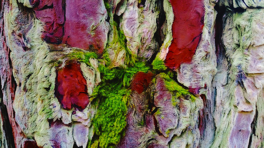 Abstract Moss  Mixed Media by Ally White