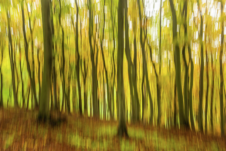 Abstract motion blur of a forest in autumn Photograph by Stefan Rotter ...