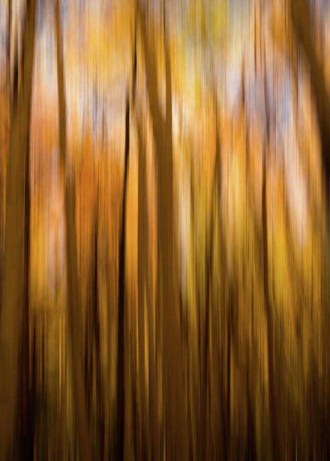 Abstract of Aspens Photograph by Kevin Schwalbe