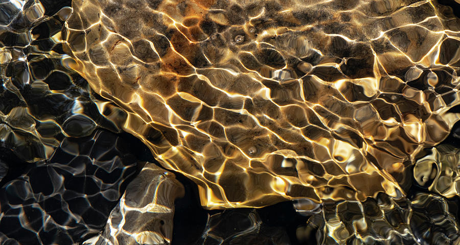 Abstract Photograph - Abstract of golden sunlight on ripples by Phil And Karen Rispin