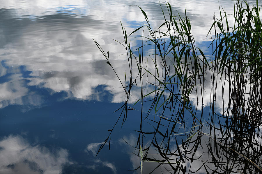 Abstract of reed grass and clouds reflected in Esthwaite Water l Photograph by Reimar Gaertner