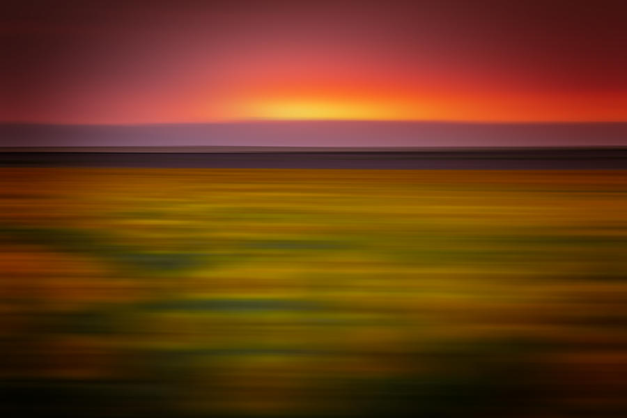 Abstract of Sunflowers at Sunset Photograph by Kevin Schwalbe
