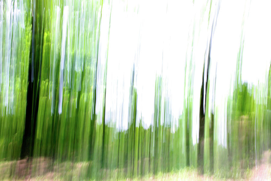 Abstract One in Green - May 2023 Photograph by Joseph A Langley