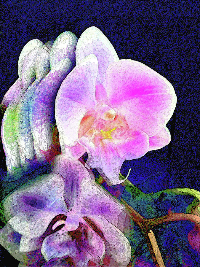 Abstract Orchids 222 Photograph by Corinne Carroll