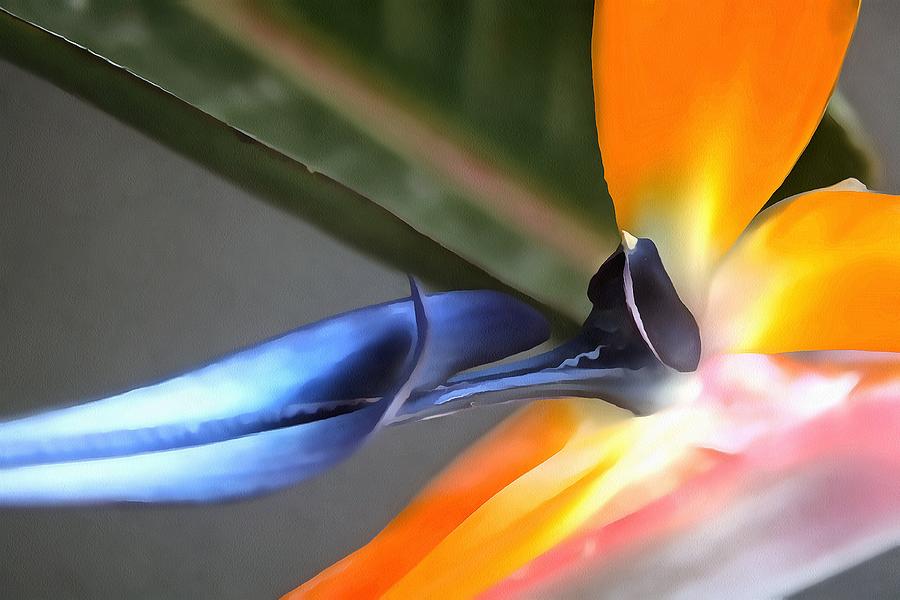 Abstract Painting Close Up Of Strelitzia Flower Painting by Taiche ...