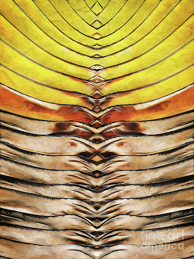 Abstract Palm Frond Digital Art by Phil Perkins