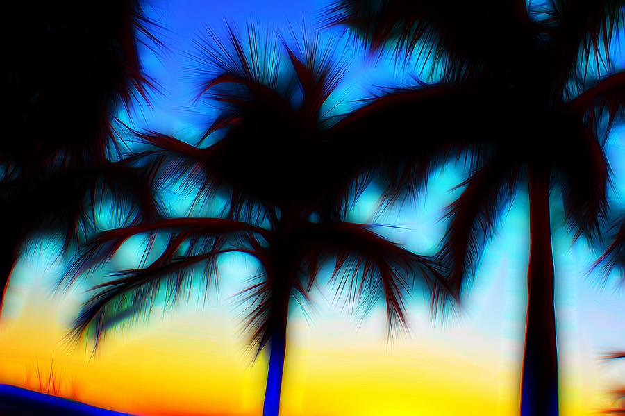 Abstract palm tree  Digital Art by Mark J Dunn