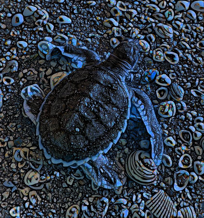 Abstract Patterned Baby Flatback Turtles Two OF Two Mixed Media by Joan Stratton