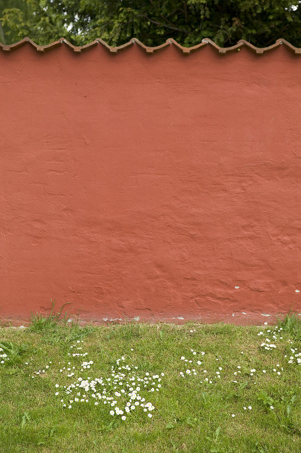 Abstract Photograph Of Patterns In A Red Wall Surrounded By Green Grass Photograph by Photodisc